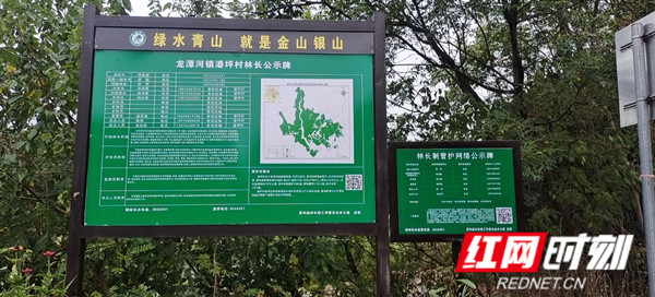 森林防火2_副本1.jpg