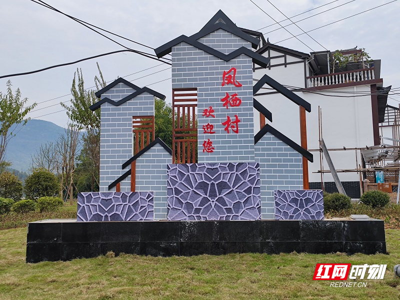 6.jpg 6.jpg