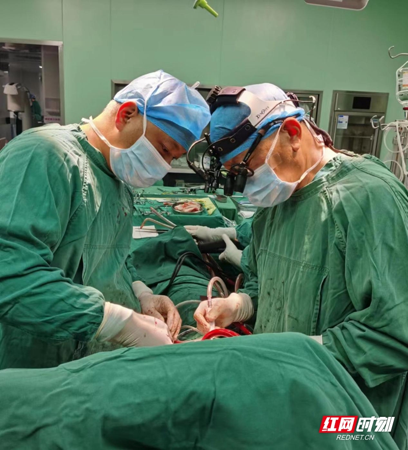 图片1.jpg 图片1.jpg