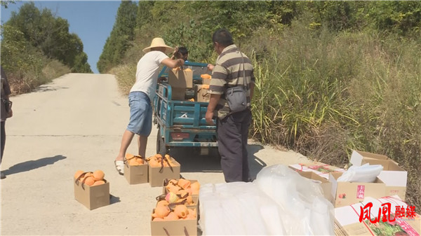 Still0909_00092.jpg Still0909_00092.jpg