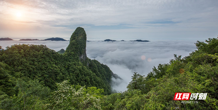 图片6.jpg 图片6.jpg