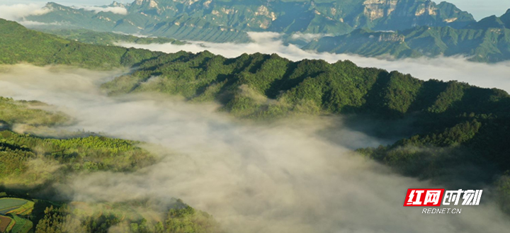 图片7.jpg 图片7.jpg