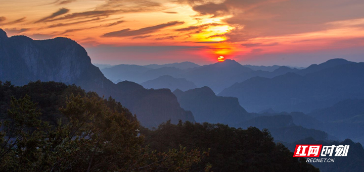 图片3.jpg 图片3.jpg