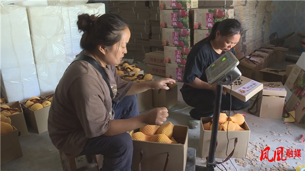 Still0909_00097.jpg Still0909_00097.jpg