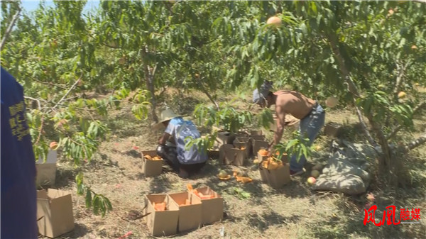 Still0909_00089.jpg Still0909_00089.jpg