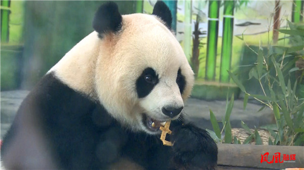 图片5.jpg 图片5.jpg