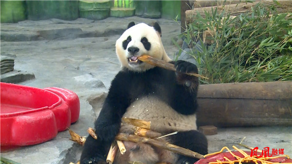 图片2.jpg 图片2.jpg