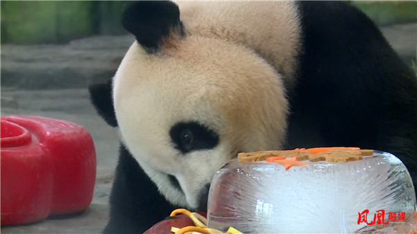 图片4.jpg 图片4.jpg