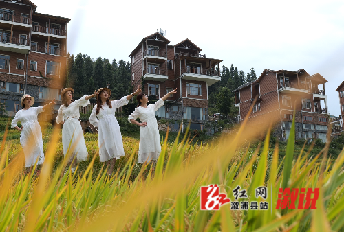 微信图片_20220913100310.png
