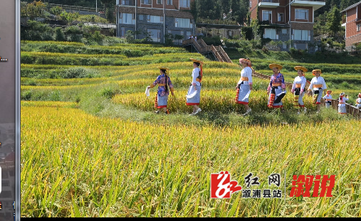 微信图片_20220913100434.png