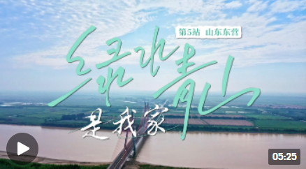弱弱.png