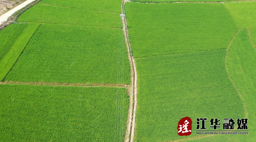 微信截图_20220914151938.png
