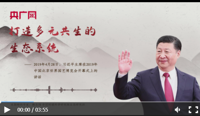 滚滚滚.png