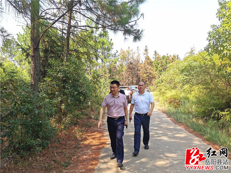 周峰实地了解森林防火责任落实_副本.jpg