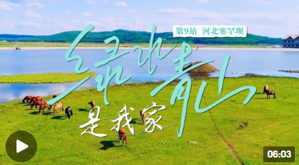 滚滚滚.png