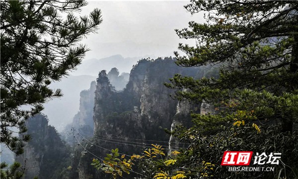 29 仙境—张家界市武陵园景区.jpg