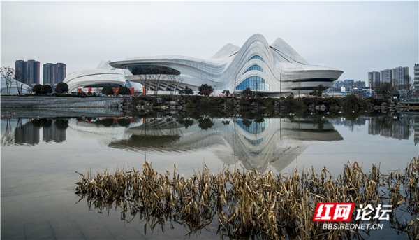 40 长沙艺术中心.jpg