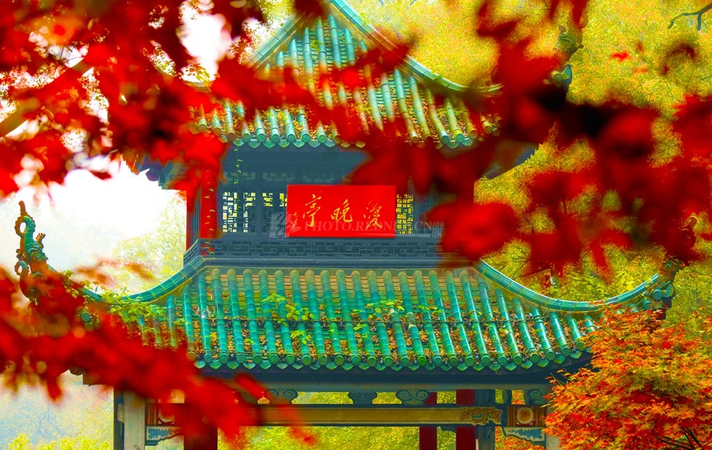 稀里马哈.jpg 稀里马哈.jpg