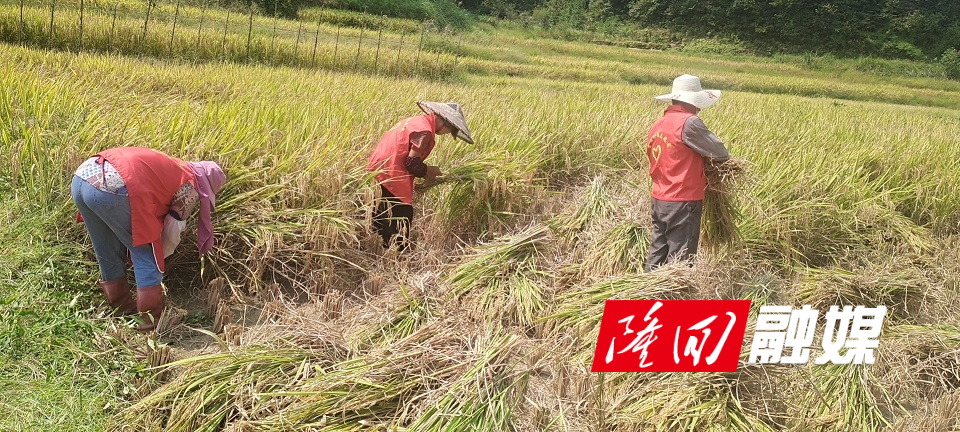 9e82fff46230e2362a8a2e79768e931.jpg 9e82fff46230e2362a8a2e79768e931.jpg