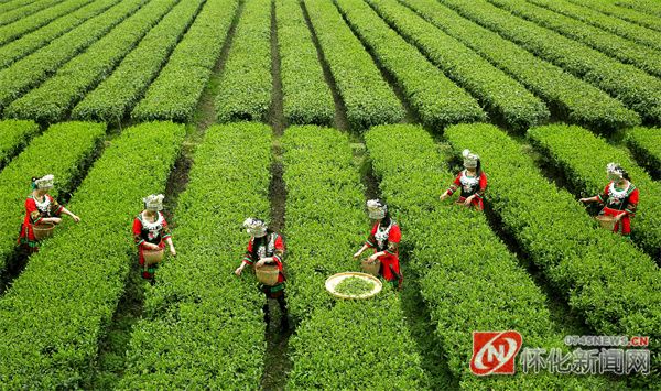 微信图片_20220918211545