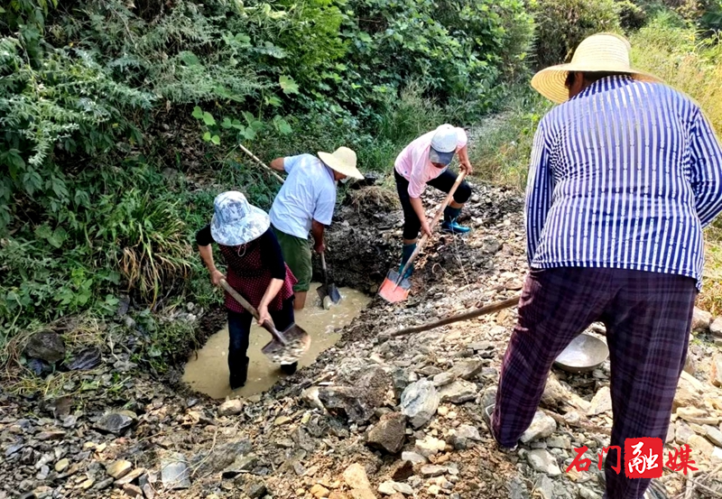 子良镇：民族一家亲 齐心战旱情  涌出“幸福泉” 1.jpg