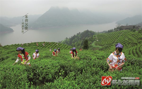 沅陵县碣滩茶场