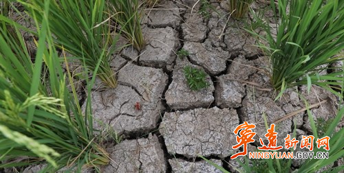 宁远：管水节水保丰收_副本500.jpg