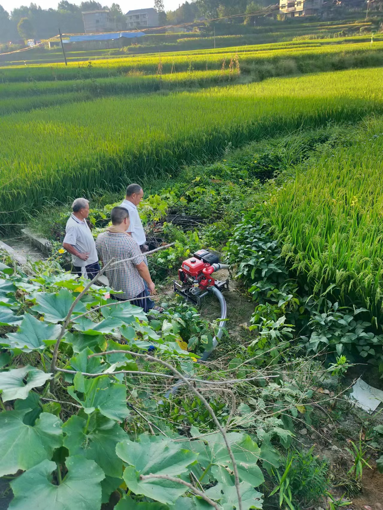 微信图片_20220920122536.jpg