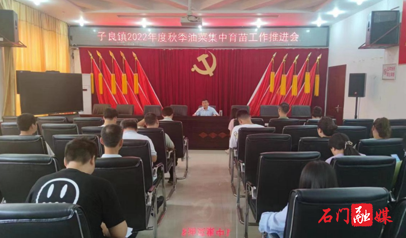 子良镇：秋播油菜保生产 集中育苗正当时1.jpg