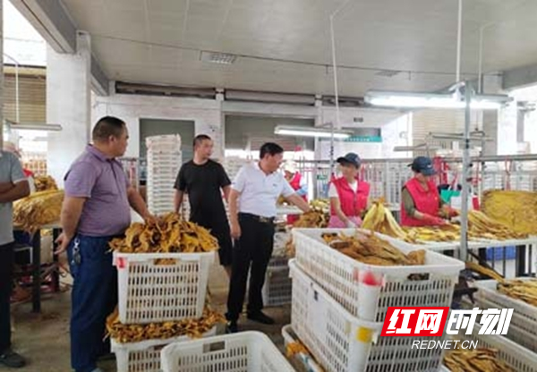 图片10.jpg