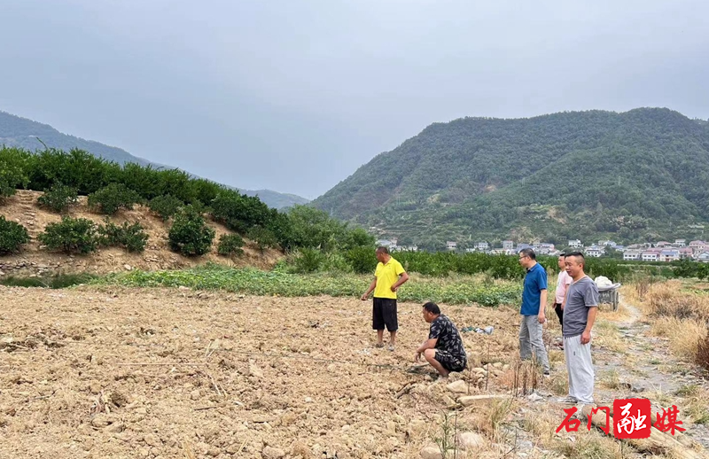 皂市镇：抢抓时节，高效播种油菜1.jpg