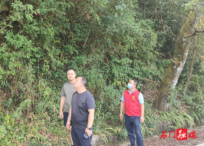 罗坪乡：全员推进森林防灭火工作落地落实1.jpg