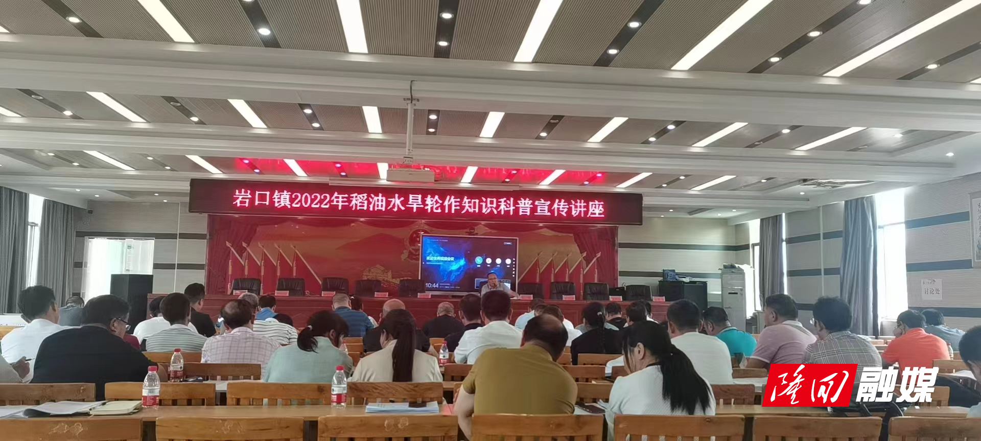 稻油.jpg 稻油.jpg