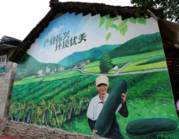 村里画着冬瓜产业的精美墙画.jpg