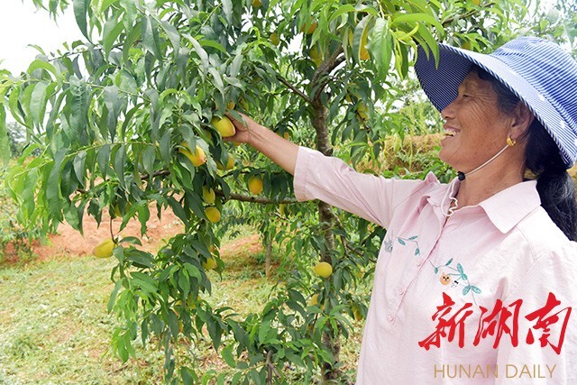 易迁后扶·怀化样本︱沅陵：今得广厦千万间 太安群众俱欢颜