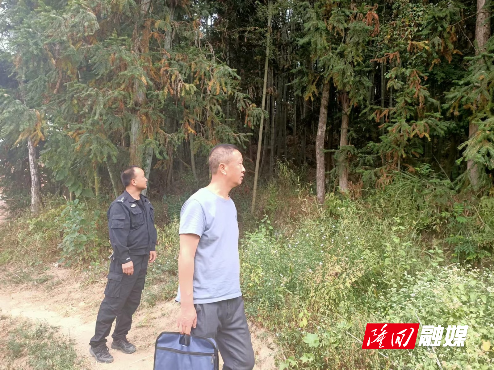 微信图片_20220923森林防火.jpg 微信图片_20220923森林防火.jpg