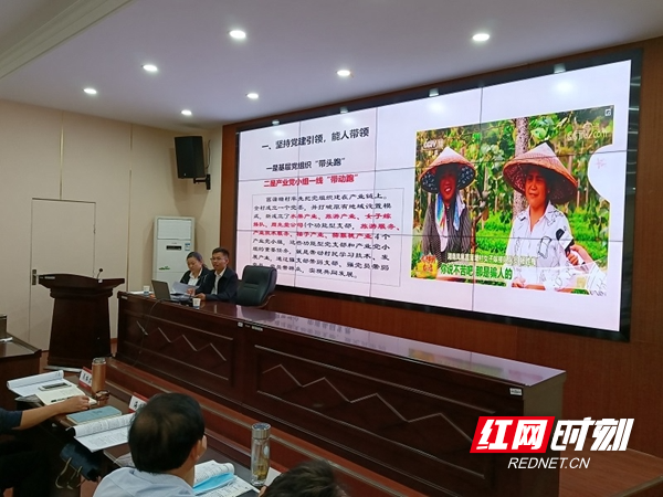 图片48.jpg