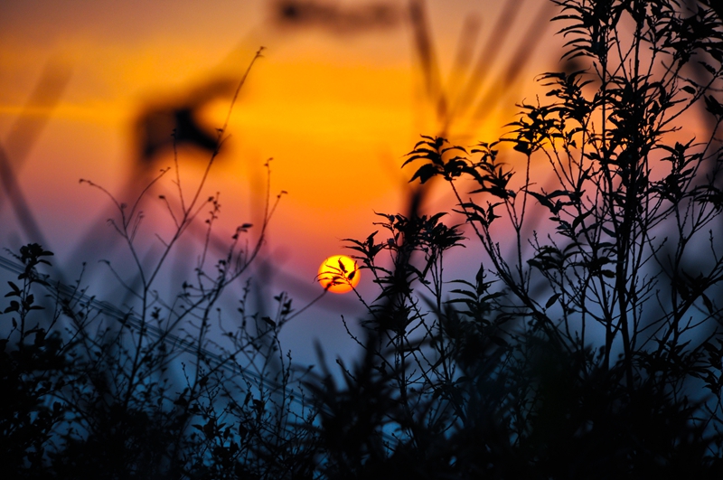 5cfcad6c97cf7_副本.jpg 5cfcad6c97cf7_副本.jpg