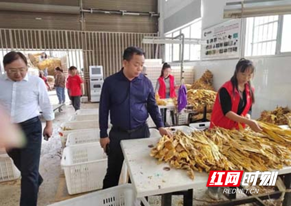 图片20.jpg