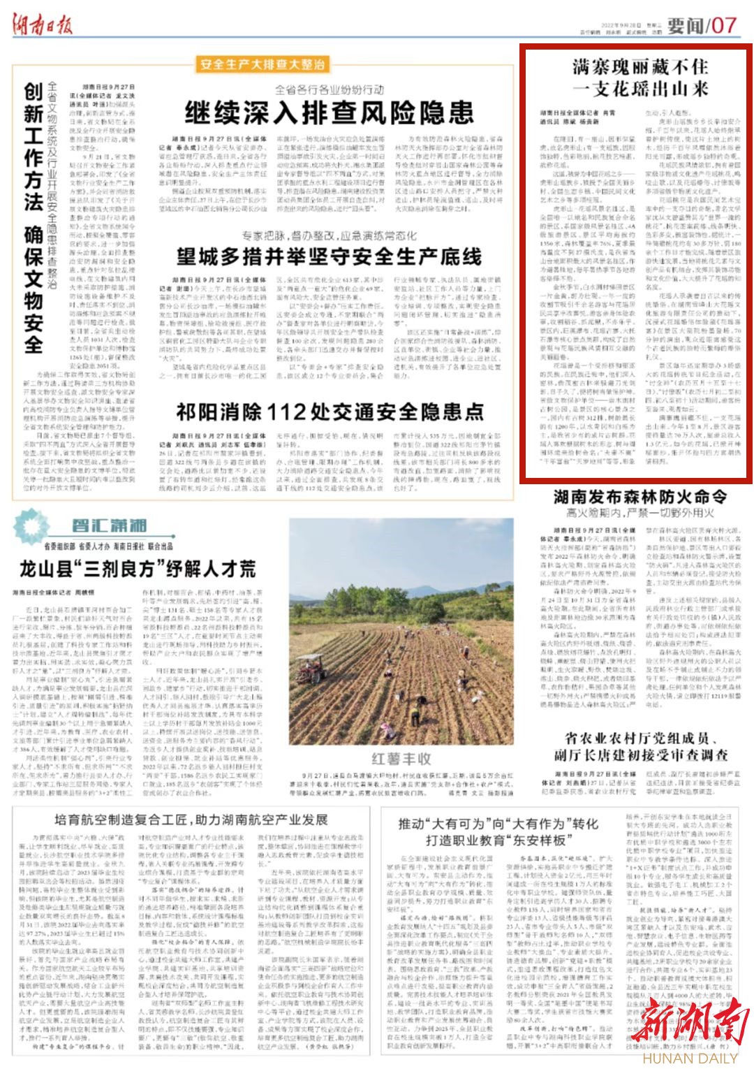 满寨瑰丽藏不住 一支花瑶出山来