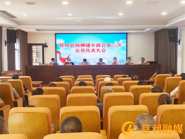 代表大会图片_副本.jpg