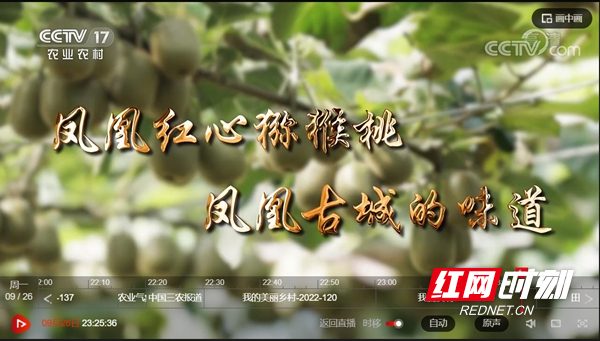 图片30.jpg