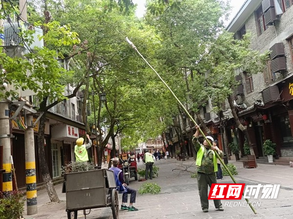 图片4.jpg