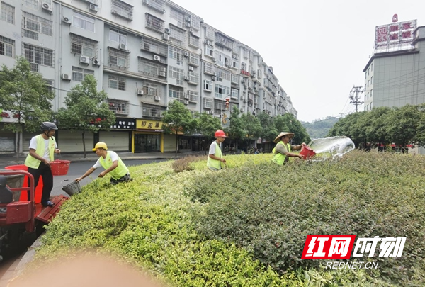 图片6.jpg