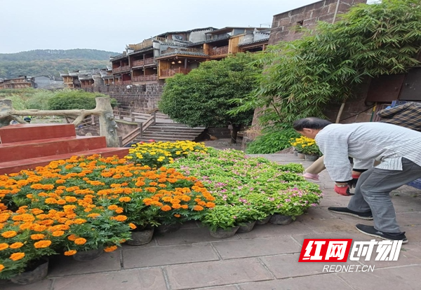 图片8.jpg