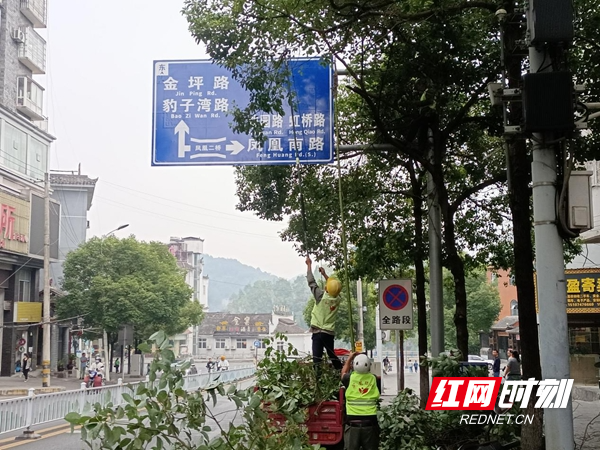 图片9.jpg