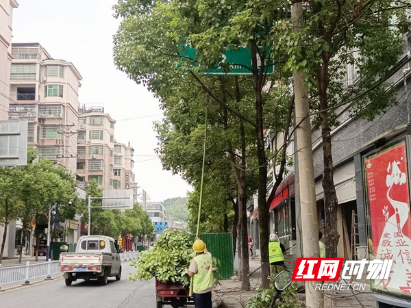 图片10.jpg