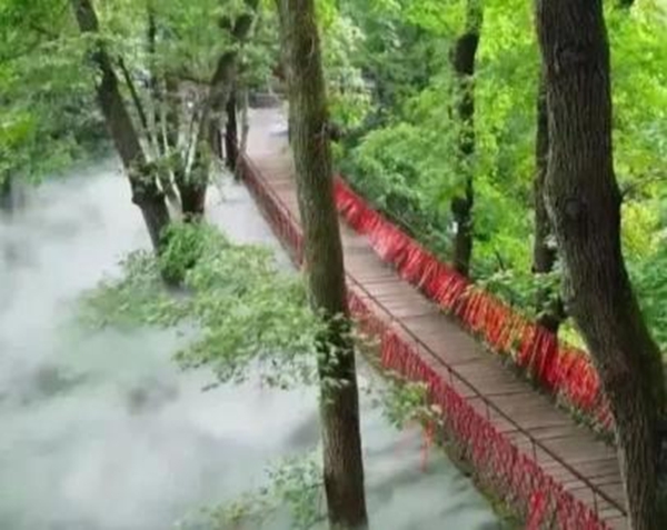 图片47.jpg