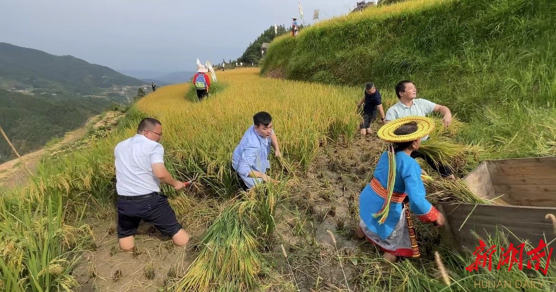 喜迎二十大丨瑶山之上 别有“洞”天