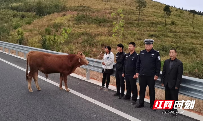 微信图片_20221008113103_副本.jpg 微信图片_20221008113103_副本.jpg